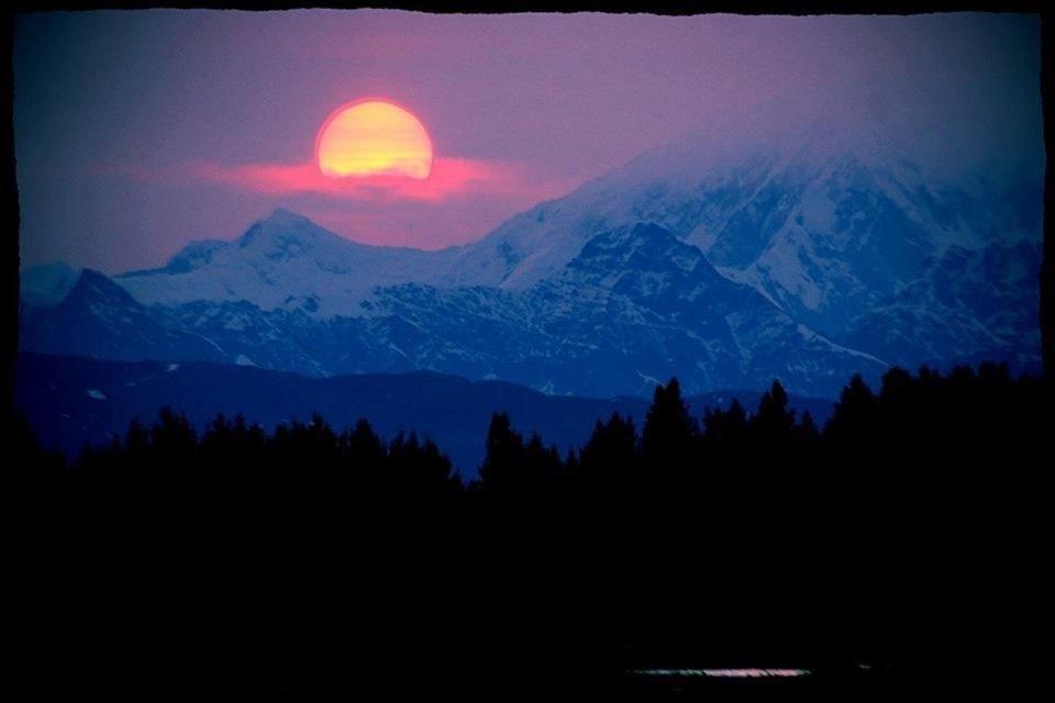 talkeetna villas&tours Extérieur photo