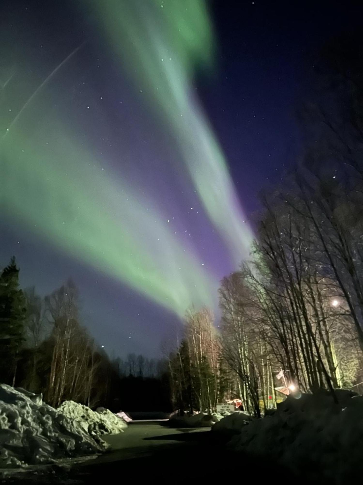 talkeetna villas&tours Extérieur photo