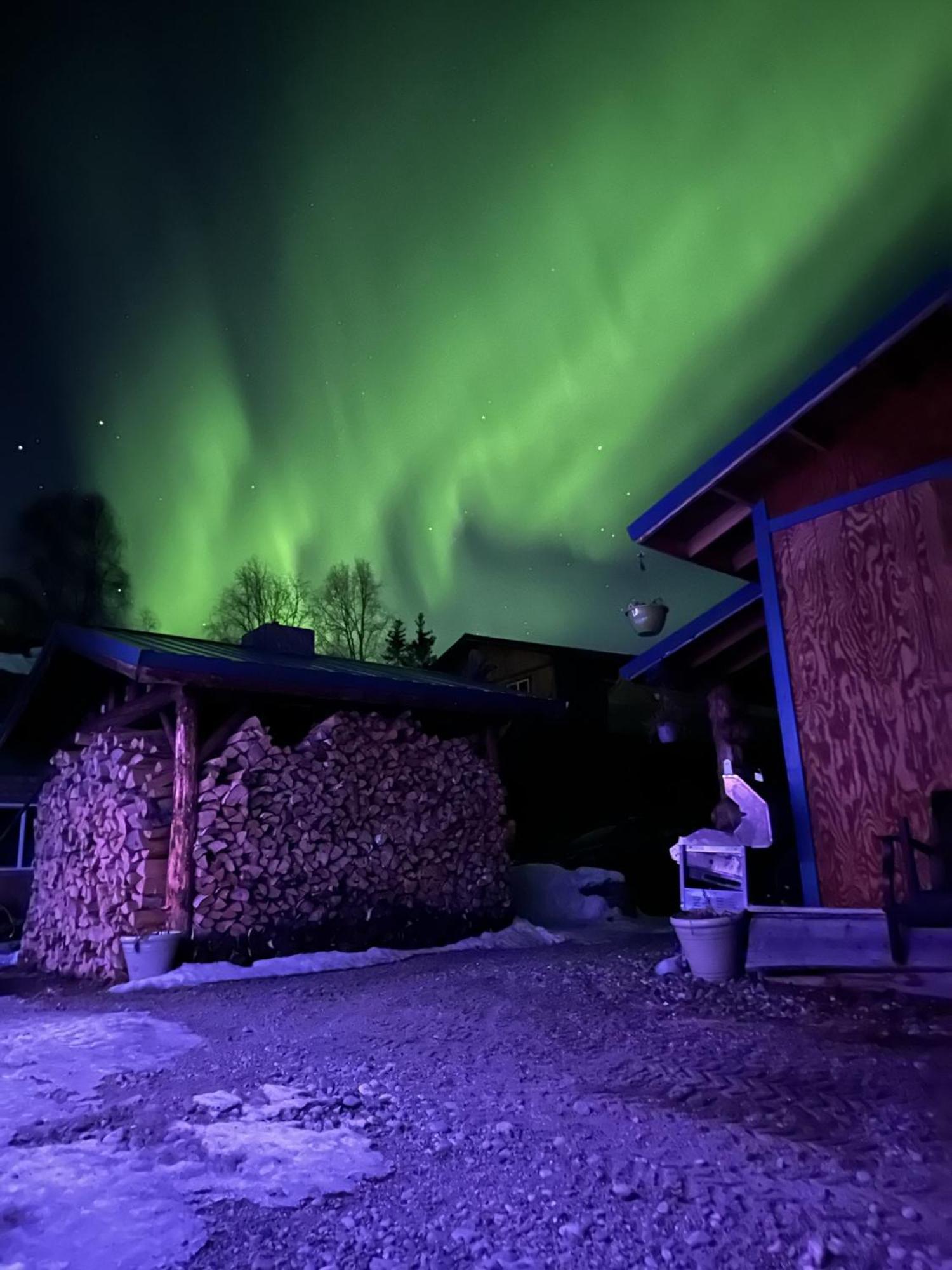 talkeetna villas&tours Extérieur photo